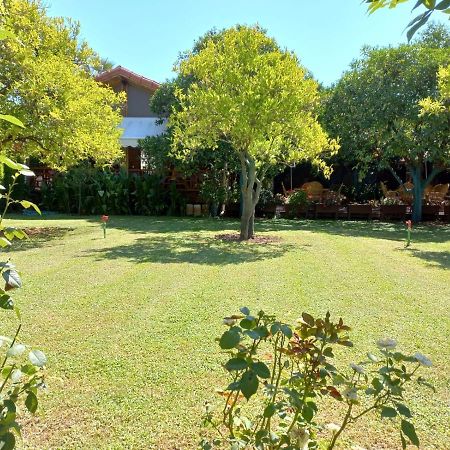 Çıralı Bahce Villa מראה חיצוני תמונה