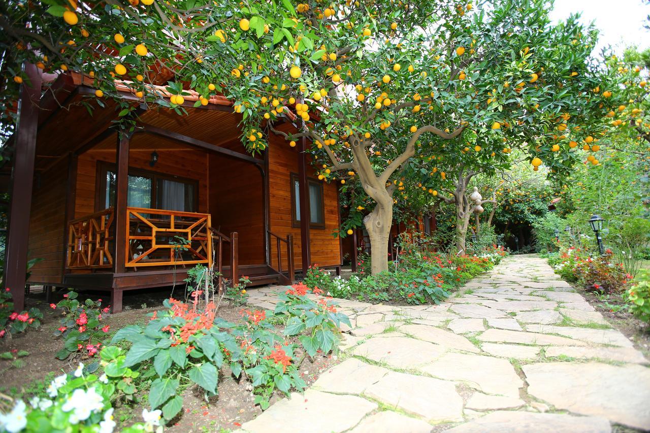 Çıralı Bahce Villa מראה חיצוני תמונה