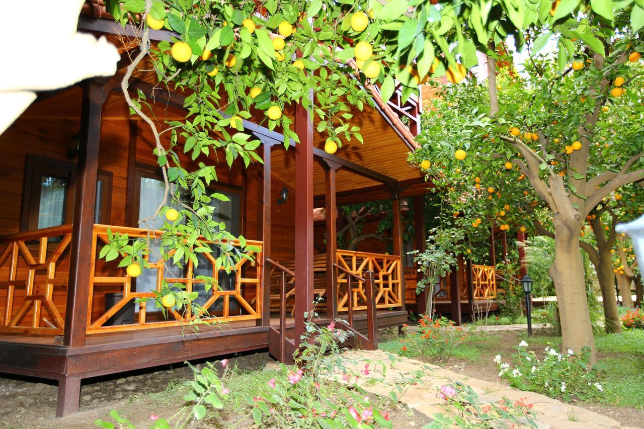 Çıralı Bahce Villa מראה חיצוני תמונה