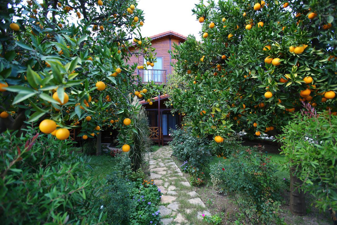 Çıralı Bahce Villa מראה חיצוני תמונה