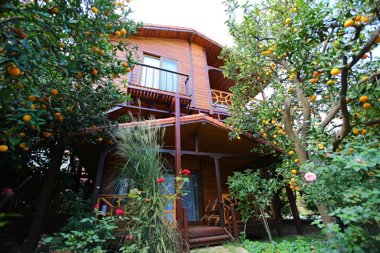 Çıralı Bahce Villa מראה חיצוני תמונה